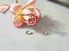 image0041