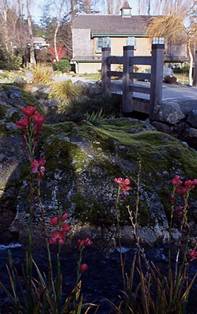 http://www.lesleefarrell.com/properties/sold/point/images/flowers.jpg