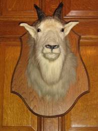 image042