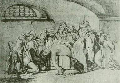 tseniteli krasoty
